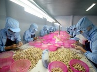 RCEP brings new hope for Vietnamese businesses