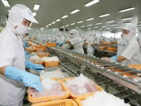Seafood export faces numerous barriers