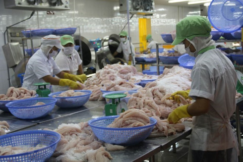 cptpp evfta to benefit vietnamese fishery sector