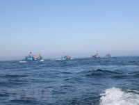 China’s fishing ban in Vietnamese waters valueless: MARD