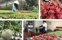 Vietnam and China seek to bolster agricultural trade amid COVID-19