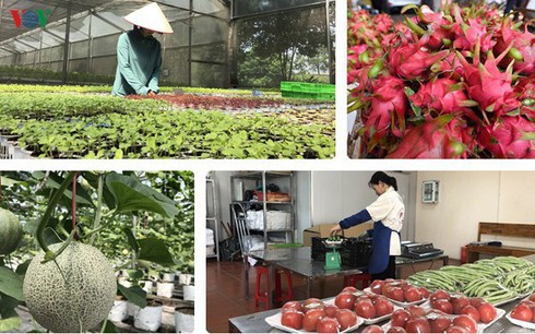 vietnam and china seek to bolster agricultural trade amid covid 19