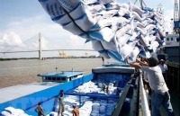 Inspection team set up to check rice volume stuck at ports