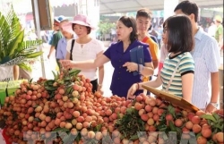 GI registration boosts exports of Vietnamese products: Ministry