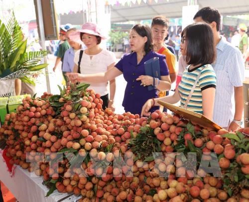 GI registration boosts exports of Vietnamese products: Ministry hinh anh 1