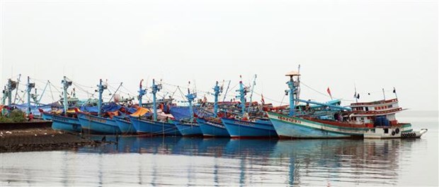 Kien Giang making every effort to fight IUU fishing hinh anh 1