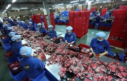 Role as global manufacturing hub to fuel Vietnam’s growth: Oxford Economics