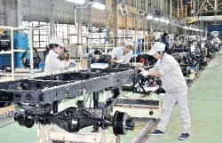 Workforce critical to feed industries in rapidly developing VN: experts