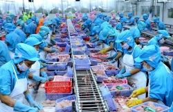 CPTPP opens up prospects for Việt Nam’s exports to the Americas
