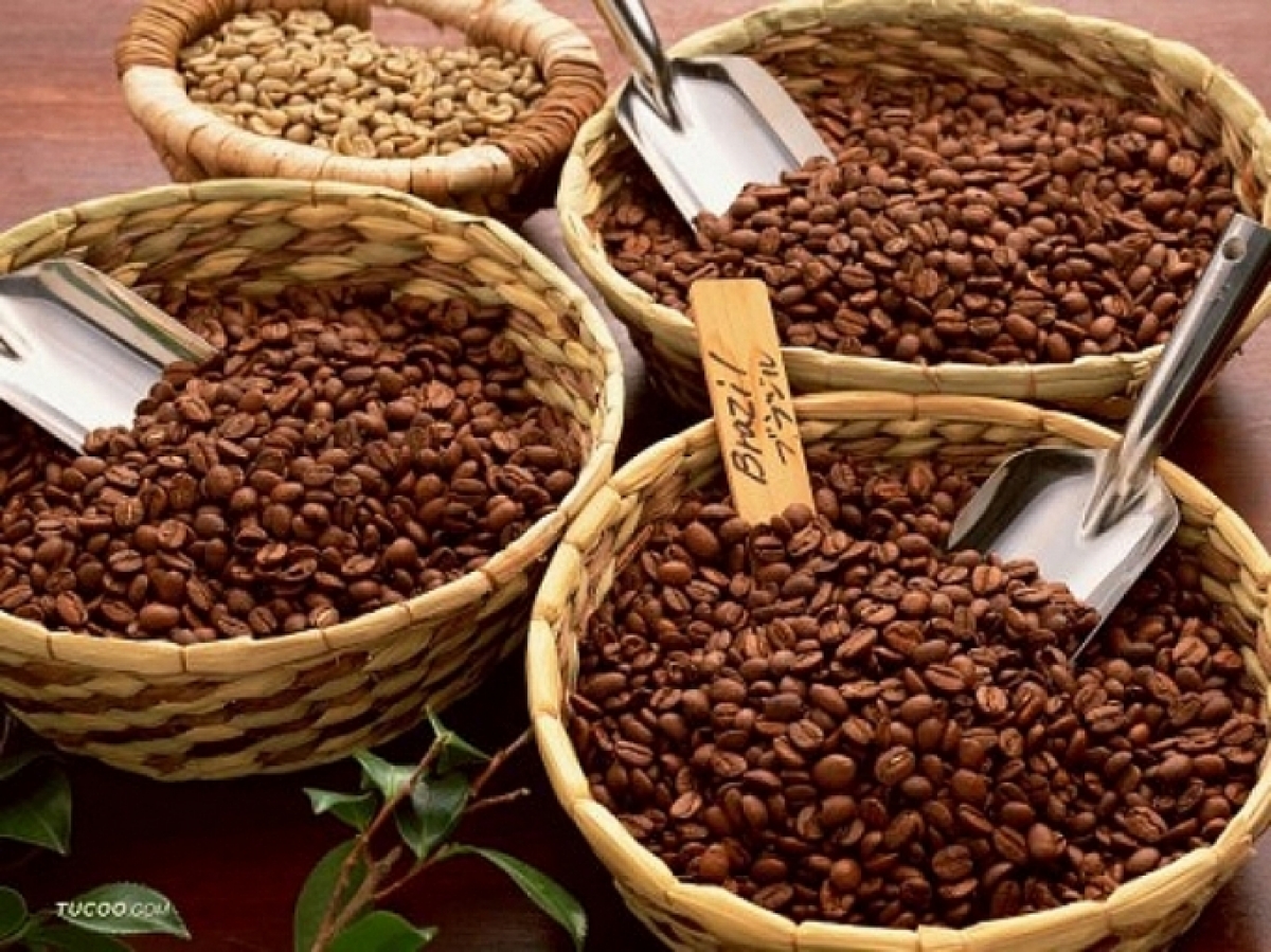 Coffee exports record impressive growth in first quarter