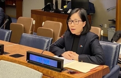 Viet Nam re-affirms support for disarmament, non-proliferation of nuclear weapons