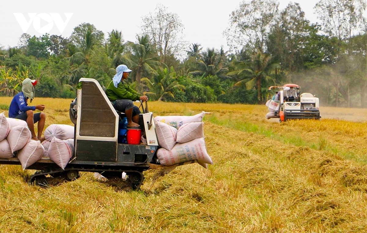 Vietnamese export rice price continues to retain its top spot among regional rice exporters.