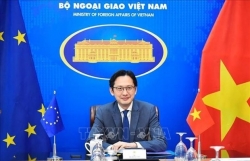 Vietnam, EU work to expand cooperation in priority areas