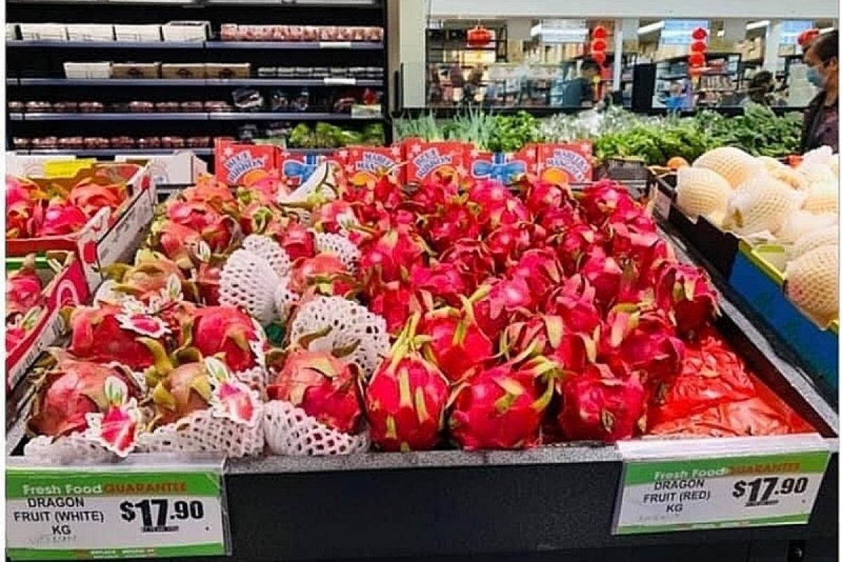 Vietnamese dragon fruit is put for sale at Australian supermarkets (Photo: Vietnamese trade office in Australia )