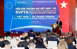 European firms" confidence in Vietnam highest since last COVID-19 outbreak
