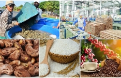 Boosting agricultural exports to US based on standardised production