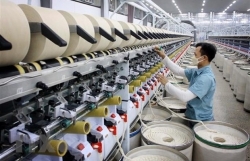 Vietnam"s economy to grow by 6.6% this year: OECD