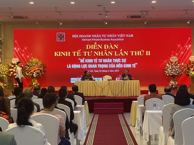 Private sector remains driving force for economy hinh anh 1