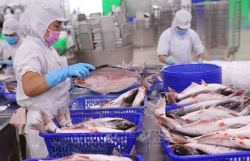 Fisheries exports estimated at 1.85 billion USD in Q1
