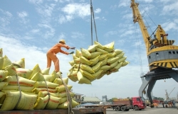 Vietnam eyes 30 billion USD in food, food stuff exports annually