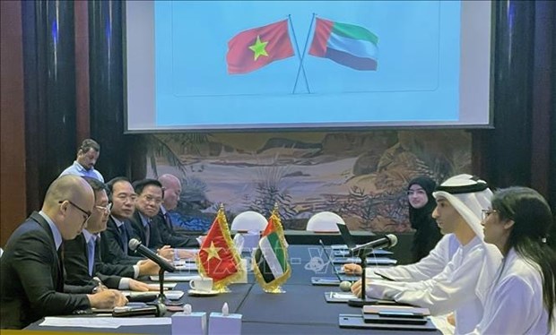 Vietnam, UAE to soon kick off negotiations of comprehensive economic partnership agreement hinh anh 1