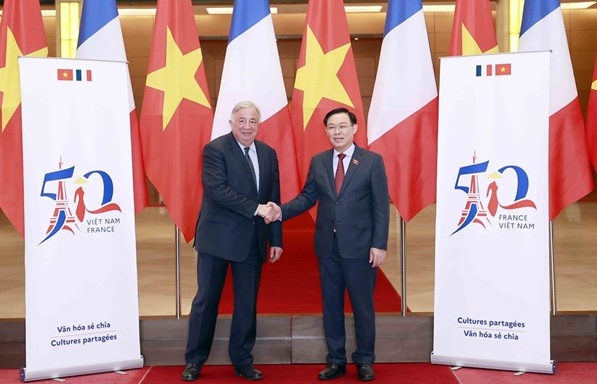 Vietnam, France – accompanying, reliable partners: Ambassador