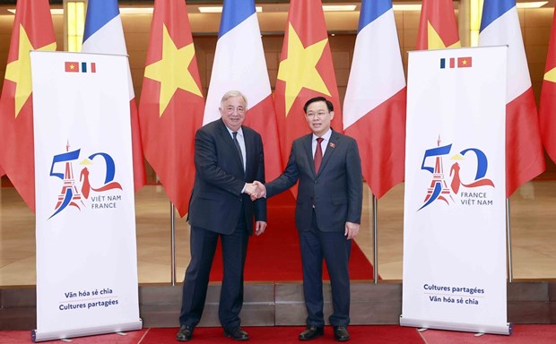 Vietnam, France – accompanying, reliable partners: Ambassador hinh anh 2
