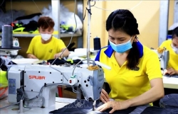 Garment sector must go green to ensure sustainable development