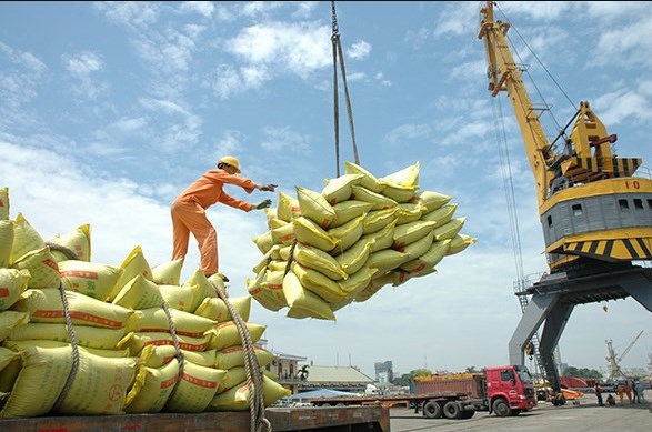 Rice export prices on the rise hinh anh 1