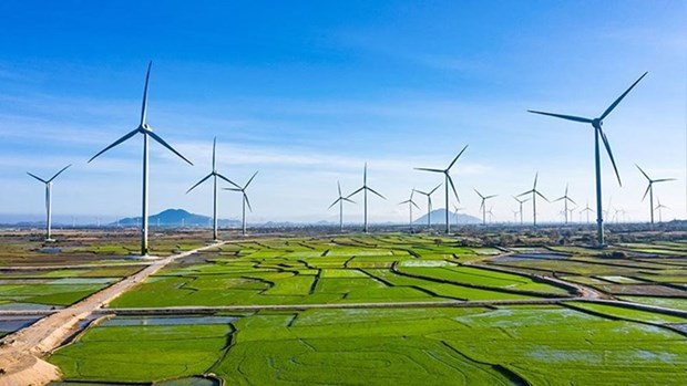 Vietnam’s green economy expected to reach 300 billion USD by 2050 hinh anh 1