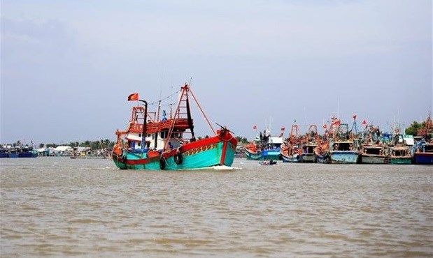 PM urges push for agricultural production, IUU fishing combat hinh anh 1
