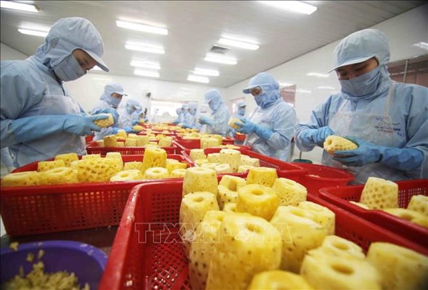 Bright prospect for fruit, vegetable exports in Q2 hinh anh 2