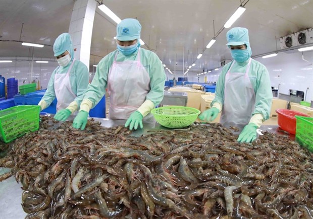Vietnam joins Seafood Expo Global in Spain hinh anh 1