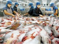 Catfish segment seeks to regain market share in the EU