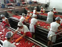 Vietnam steps up equitization to get ready for free trade with EU