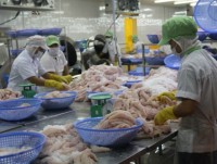 Exports of tra fish earns US$438 million in three months