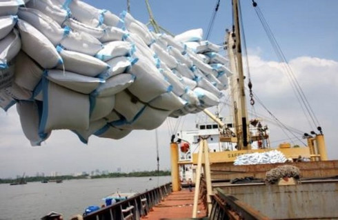 door to world market opens for vietnams rice exporters