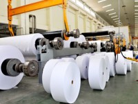 Paper sector unfolds into domestic market