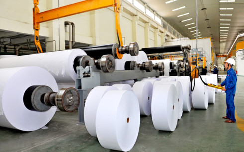paper sector unfolds into domestic market