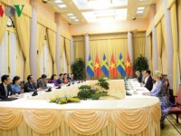 Vietnam, Sweden full of determination to further foster bilateral ties