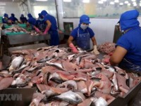 Vietnam’s tra fish exports to ASEAN up 18 percent