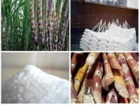 Sugar industry: some die, others thrive