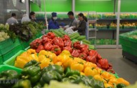 Fruit, vegetable exports bounce back in April
