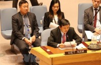 UN Security Council membership enables Vietnam to contribute more to UN