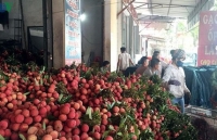 Export of fresh lychees to Japan faces hurdles in face of COVID-19