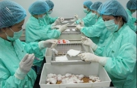 Vietnam makes steps to produce COVID-19 vaccine