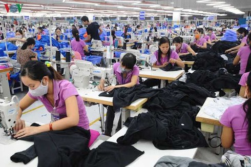 decisive reforms needed for vietnam to get full evfta benefits wb