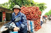 Vietnam gears up to export fresh lychee to Japan later this year