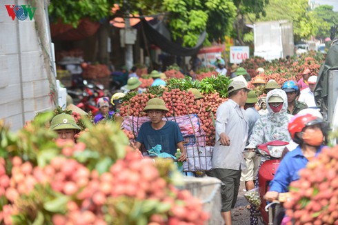 vietnam promotes lychee exports in singaporean market