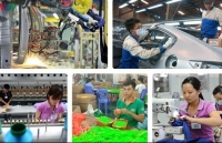Vietnamese businesses strive to overcome barriers upon joining EVFTA